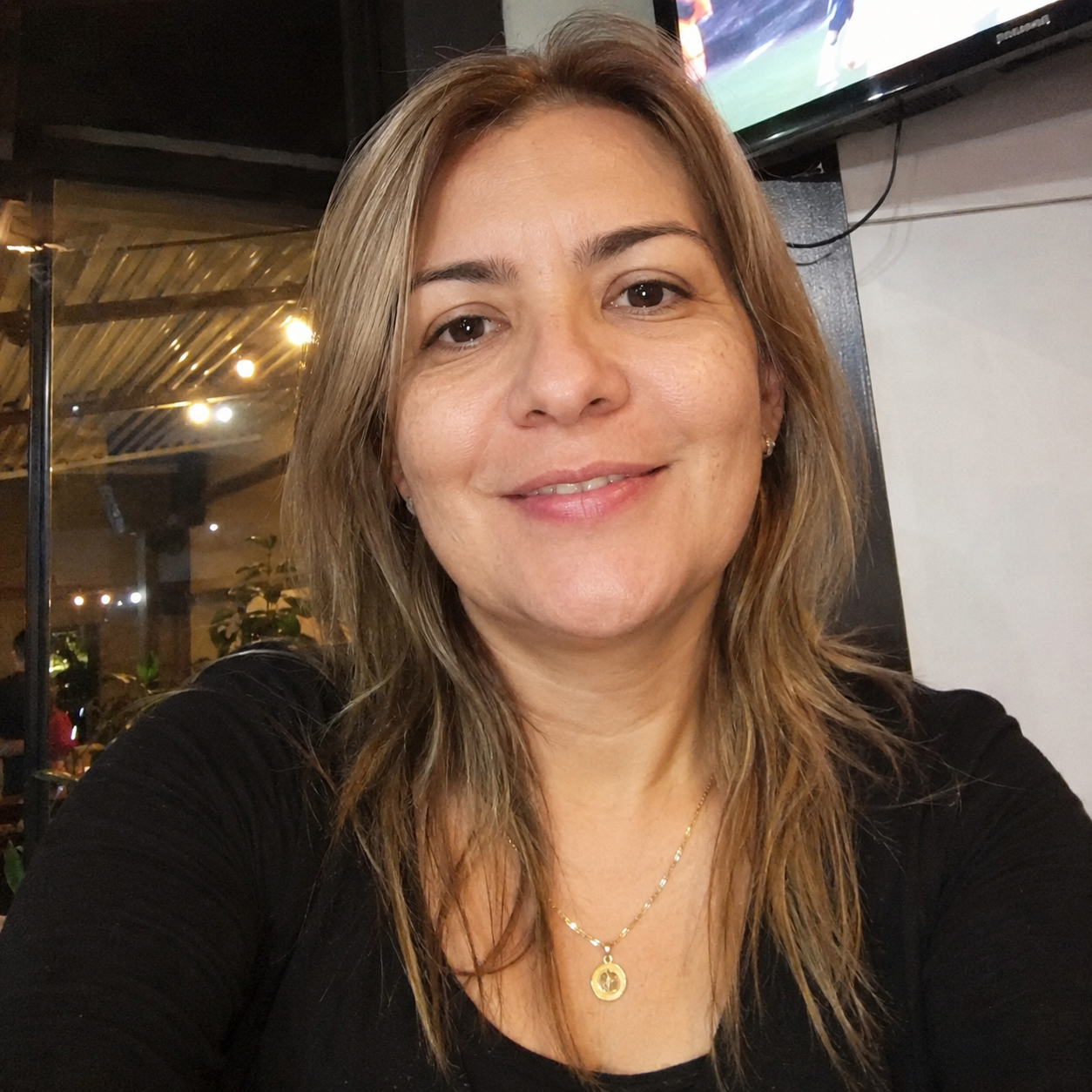 <em>Vargas N.</em>